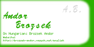 andor brozsek business card